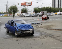 Торопились в зоопарк, но так и не доехали