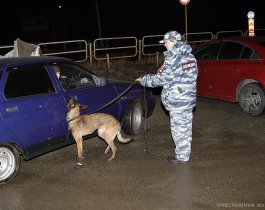 В Челябинске под руководством главы ГУ МВД области прошла операция «Ночь»