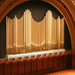 Немецкие специалисты выступили против "убийства" челябинского органа