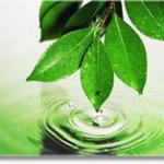 «БАЛТИКА» ИНВЕСТИРУЕТ В ЭКОЛОГИЮ