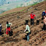 Жара на Урале спровоцировала межнациональный конфликт