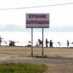 В Челябинске разгромили «путинский» пляж