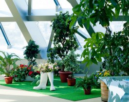 У челябинцев будут формировать экологически ответственное мировоззрение