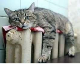 В Челябинске начался отопительный сезон