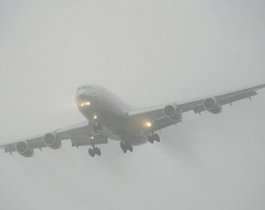 Авиадебошира Третьякова суд отпустил под подписку