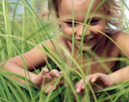 Будьте осторожны на природе: от укусов клещей пострадали почти две тысячи человек