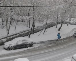 Сильные снегопады и ветер! Скорей меняйте резину, а лучше вообще не садитесь за руль.