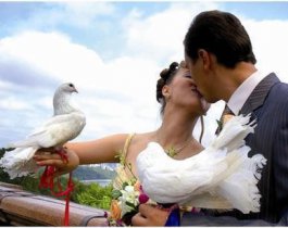 Более 2000 пар Челябинска подали заявление в ЗАГС через портал госуслуг