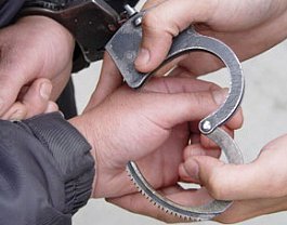 В Челябинске поймали подозреваемого в интернет-педофилии