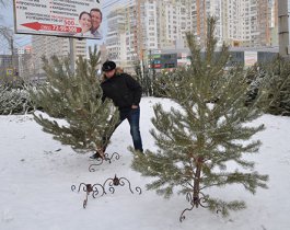 В Челябинске начались продажи главного новогоднего символа