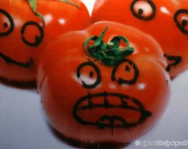 В правительстве одобрили проект закона о запрете продуктов с ГМО в РФ