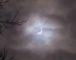 Солнечное затмение: наблюдатели делятся первыми фото