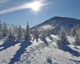 К поискам матери с двумя детьми, пропавших на Большом Иремеле, подключили вертолет