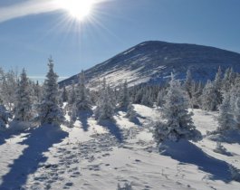 Девочку принесли в жертву? Мать требует развеять прах ребенка над Большим Иремелем