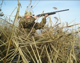 Сезон охоты на юге Челябинской области откроется в среду