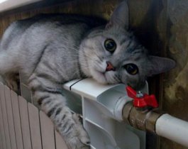 Отопление в Челябинске отключат в праздничные дни