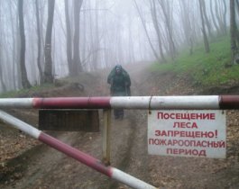 Шашлыки отменяются. Вход и въезд в леса запрещен!