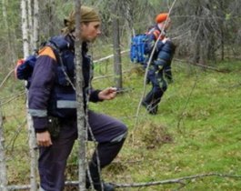 Под Миассом вторые сутки ищут заблудившегося в лесу подростка.