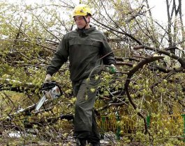 Волонтеры Миасса отправились освобождать из древесного плена детдом и кладбища