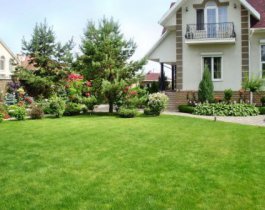 5 секретов красивого зеленого газона от Уралполив