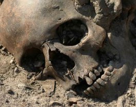 На берегу озера Смолино нашли человеческие кости