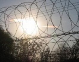 Бывшие заключенные оккупировали дачные домики? (ВИДЕО)