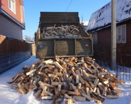 «Подари дрова». Навальный предложил обогреть стариков часами Пескова