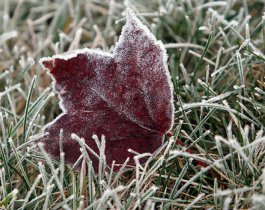Сильный мокрый снег и дождь ожидаются в Челябинской области. Прогноз погоды на 19 октября