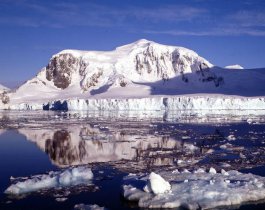 Ученые заглянули подо льды Антарктиды и онемели