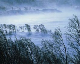 Синоптики обещают метели и мороз до минус 17 на выходные в Челябинской области
