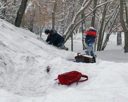В Челябинской области полностью закрыли на карантин все учебные заведения: школы, техникумы и вузы
