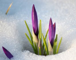 В Челябинской области будет снежно и ветрено