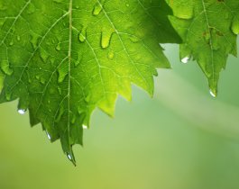 Жара и град. Прогноз погоды на 6 августа