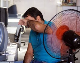 «У офисных сотрудников работа умственная, они могут и потерпеть...»