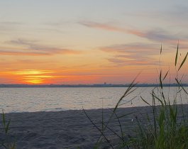 В озере Смолино обнаружено вирусное загрязнение