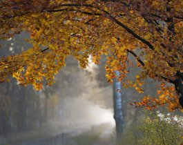 Холодный и дождливый день. Прогноз погоды на 8 сентября