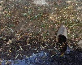 Минэкологии выяснило, откуда текут стоки в Смолино