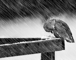 В День города челябинцы промокнут под дождем и замерзнут