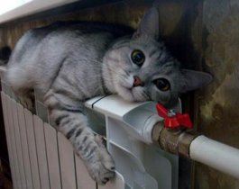 Отопление в Челябинской области