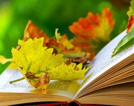 Утренний дождь и малооблачность. Прогноз погоды на 22 сентября