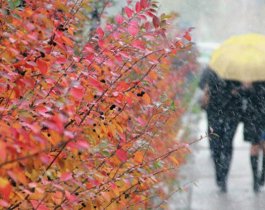 Резкое похолодание придет в Челябинск. Прогноз погоды на 6 октября