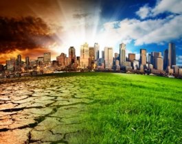 «Челябинская область обоснованно занимает последнее место в «Экологическом рейтинге» среди всех регионов России»