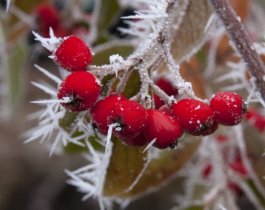 Прогноз погоды на 14 октября