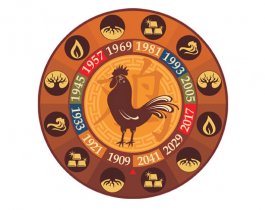 Что принесет год Петуха? Советы и предсказания от экстрасенса Виталия Бограда