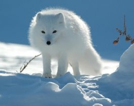 Сильный ветер и низкое давление. Прогноз погоды на 21 января