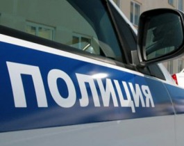 Полиция задержала банду воров