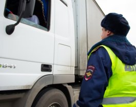 На въезде в Челябинскую область задержали фуру с 15 тысячами упаковок опасных БАДов