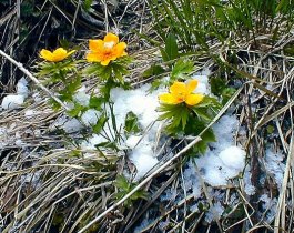Перемены погоды: прогноз синоптиков на 7 марта