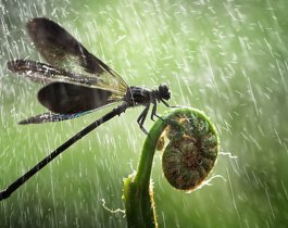 Ждать ли тепла? Долгосрочный прогноз погоды на июнь