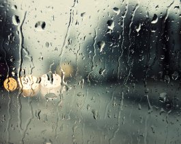 Дожди-дожди...